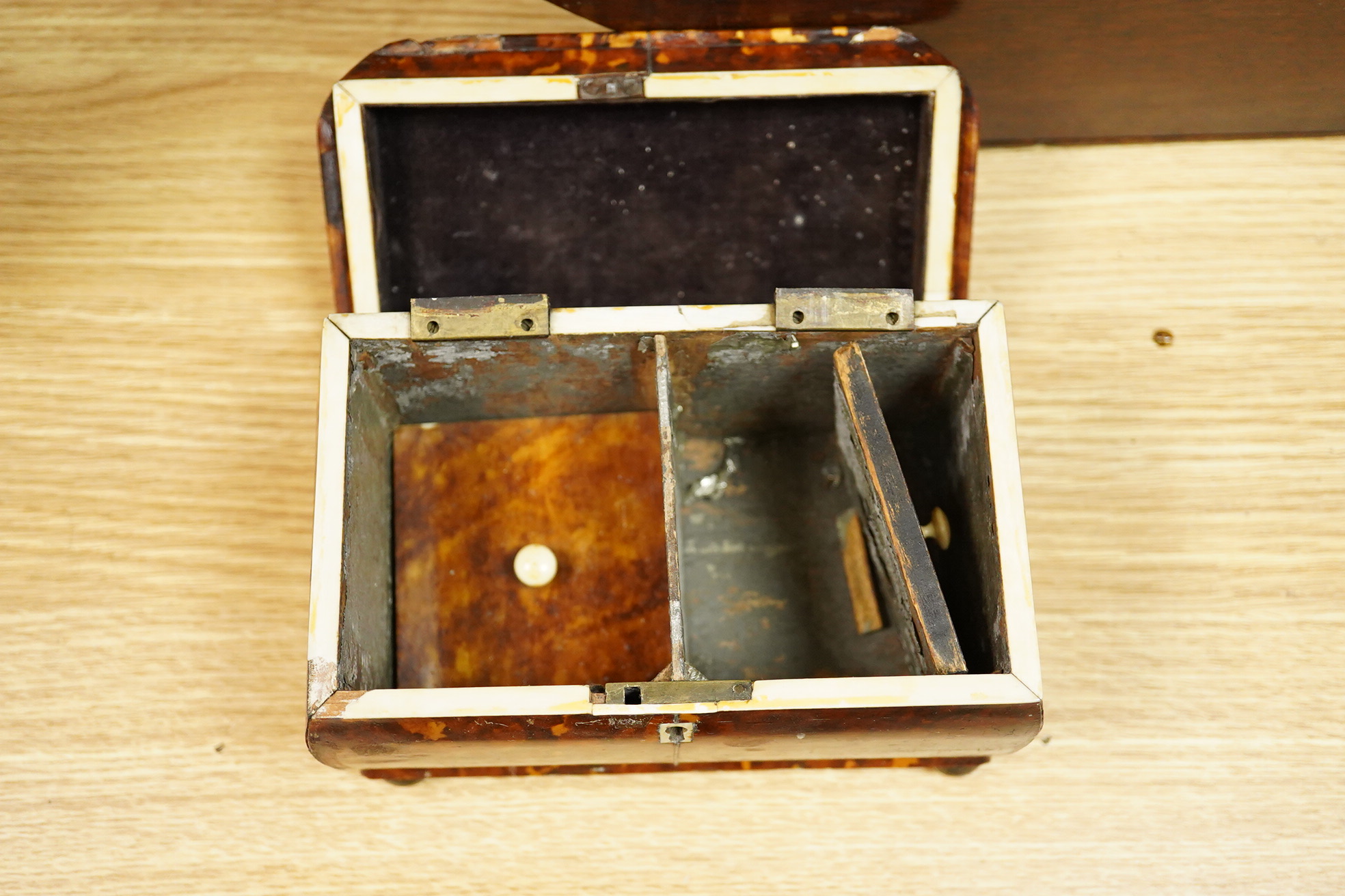 A Regency tortoiseshell tea caddy (damaged) and a mahogany cheese coaster, 43cm wide